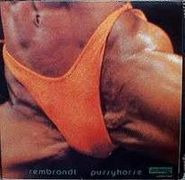 Butthole Surfers, Rembrandt Pussyhorse [Import Pressing] (CD)