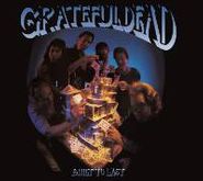 Grateful Dead, Built To Last (CD)