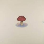 Mark Farina, Mushroom Jazz (LP)