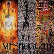 Meshuggah, Destroy Erase Improve (CD)