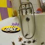 Space, Spiders (CD)
