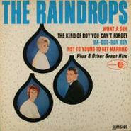The Raindrops, The Raindrops (LP)