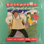 Buckwheat Zydeco, On A Night Like This (LP)