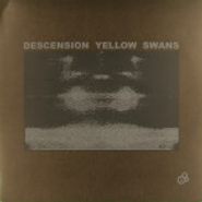 Yellow Swans, Descension Yellow Swans (LP)