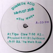 Dungeon Acid, Wait (12")