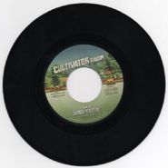 Chronixx, Perfect Tree (7")