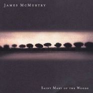 James McMurtry, Saint Mary Of The Woods (CD)
