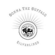 Donna the Buffalo, Silverlined (CD)