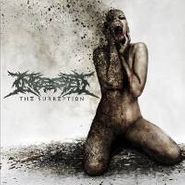Ingested, The Surreption (CD)