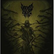 Defeated Sanity, Passages Into Deformity (CD)