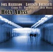 Joel Harrison, Holy Abyss (CD)