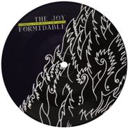The Joy Formidable, I Don't Want To See You Like T (7")