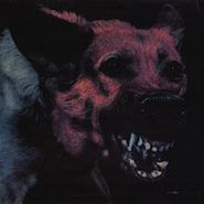 Protomartyr, Under Color Of Official Right (LP)
