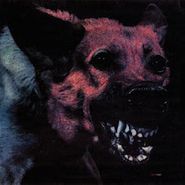 Protomartyr, Under Color Of Official Right (CD)