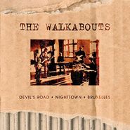 The Walkabouts, The Virgin Years [Box Set] (LP)