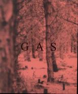 Wolfgang Voigt, Gas (CD)