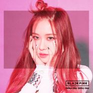 , Ddu-Du Ddu-Du (rose Version) (CD)