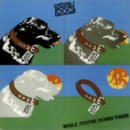 Stray Dog, While You're Down There (CD)