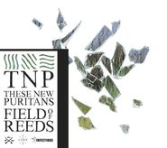 These New Puritans, Field Of Reeds (CD)