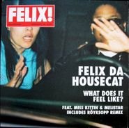 Felix Da Housecat, What Does It Feel Like? (12")