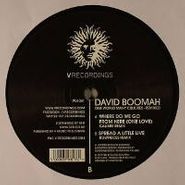 David Boomah, One World Many Cultures - Remixed (12")