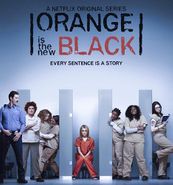 Various Artists, Orange Is The New Black: Music From The Original Series [OST] (LP)