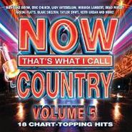 Various Artists, Now That's What I Call Country, Volume 5 (CD)