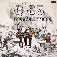 Q65, Revolution [180 Gram Vinyl] (LP)