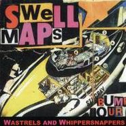 Swell Maps, Wastrels & Whippersnappers (CD)