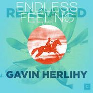 Gavin Herlihy, Endless Feeling Reloaded (12")