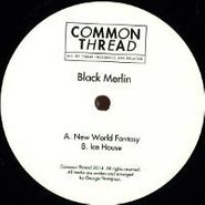 Black Merlin, New World Fantasy / Ice House (12")
