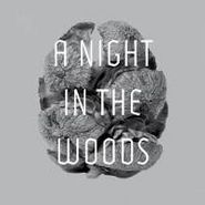 Tyler Friedman, Night In The Woods (12")