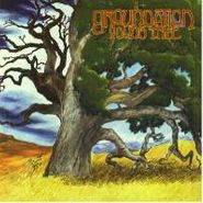 Groundation, Young Tree (CD)