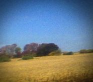 Sun Kil Moon, Benji [Red Vinyl] (LP)