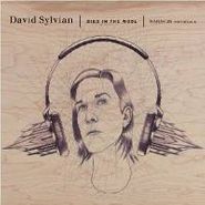 David Sylvian, Died In The Wool / Manafon Variations (CD)