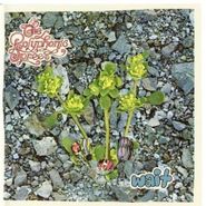 The Polyphonic Spree, Wait (CD)