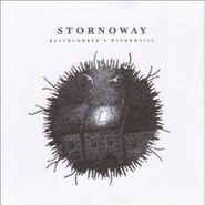 Stornoway, Beachcomber's Windowsill (LP)