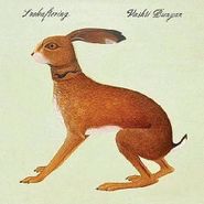 Vashti Bunyan, Lookaftering (LP)