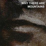 Cymbals Eat Guitars, Why There Are Mountains (LP)