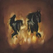 The Besnard Lakes, Besnard Lakes Are The Dark Hor (LP)