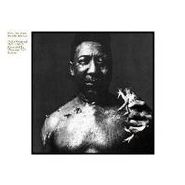 Muddy Waters, After The Rain (CD)