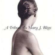 Various Artists, A Tribute To Mary J. Blige (CD)