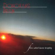 Donovan's Brain, Fires Which Burnt Brightly (CD)
