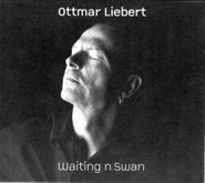 Ottmar Liebert, Waiting N Swan (CD)