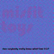Misfit Toys, Does Anybody Really Know What  Time It Is? (CD)