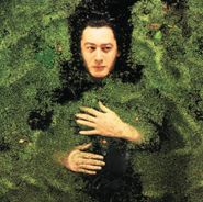 Alain Bashung, Fantaisie Militaire [180 Gram Vinyl] (LP)