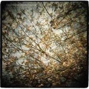 Horse Feathers, Thistled Spring (CD)