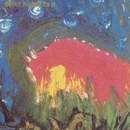 Meat Puppets, 2 (CD)
