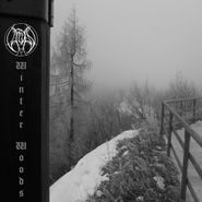 Vardan, Winter Woods (CD)