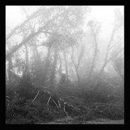 Eidetic Seeing, Against Nature (LP)